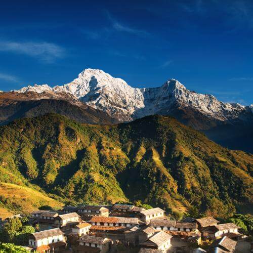 Charakteristika dóš (jaký jste typ)