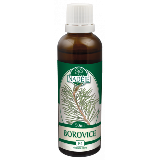 Borovice sosna - z pupenů 50ml
